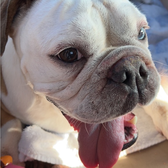 Meet your Posher, Dannah - Picture 9 of 9